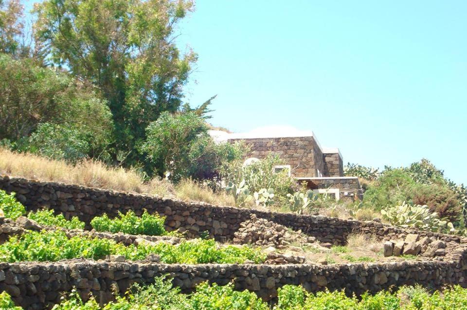 Sull'Arco Dell'Elefante Βίλα Tracino Εξωτερικό φωτογραφία